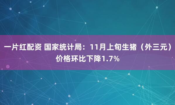 一片红配资 国家统计局：11月上旬生猪（外三元）价格环比下降1.7%