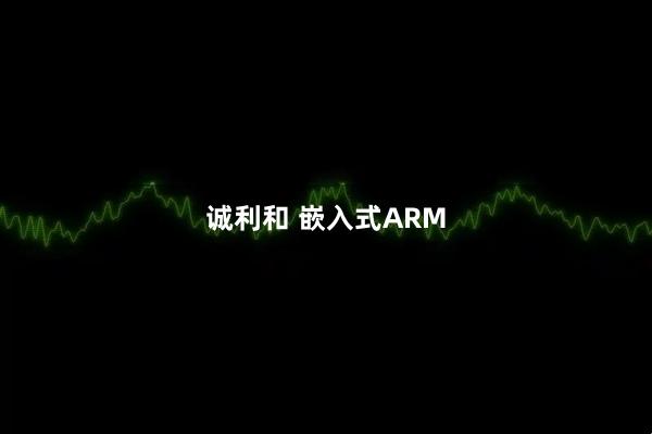 诚利和 嵌入式ARM