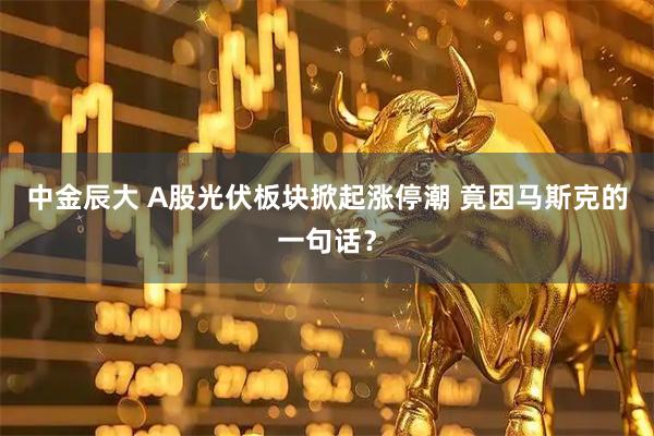 中金辰大 A股光伏板块掀起涨停潮 竟因马斯克的一句话？
