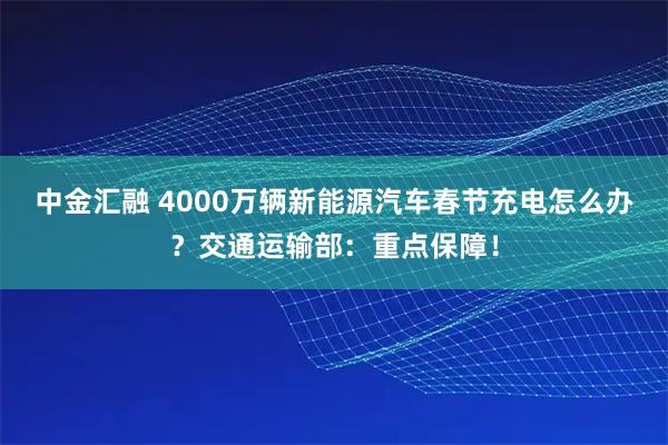 中金汇融 4000万辆新能源汽车春节充电怎么办？交通运输部：重点保障！