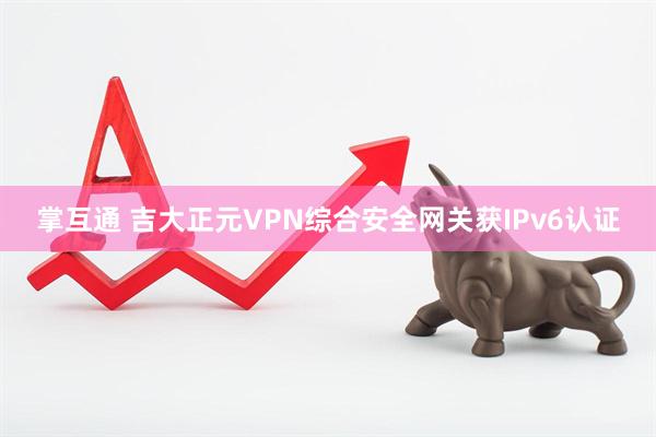 掌互通 吉大正元VPN综合安全网关获IPv6认证