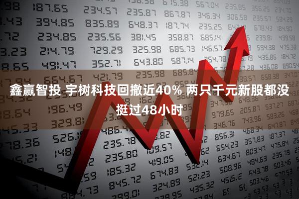鑫赢智投 宇树科技回撤近40% 两只千元新股都没挺过48小时